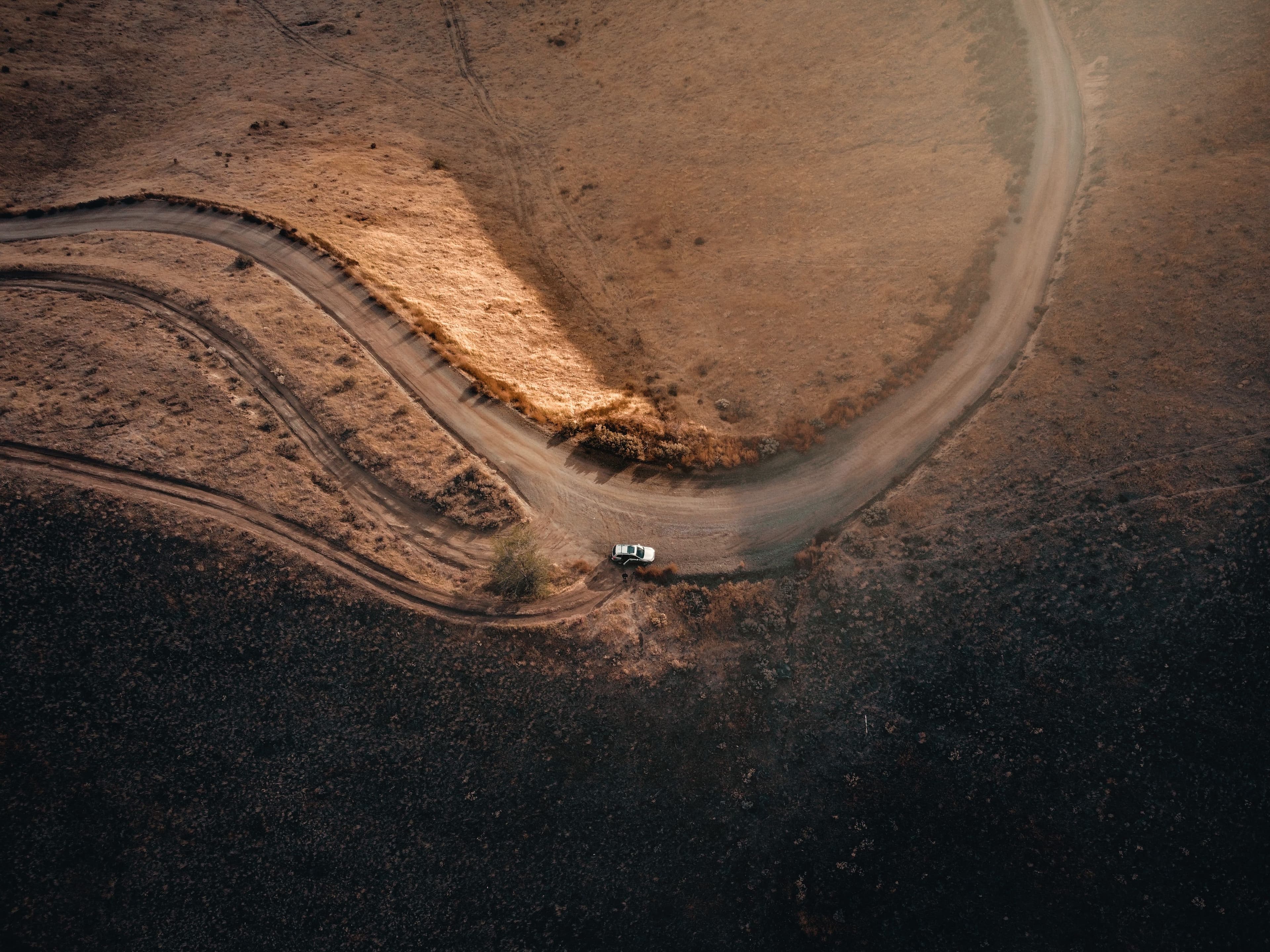 The path forward